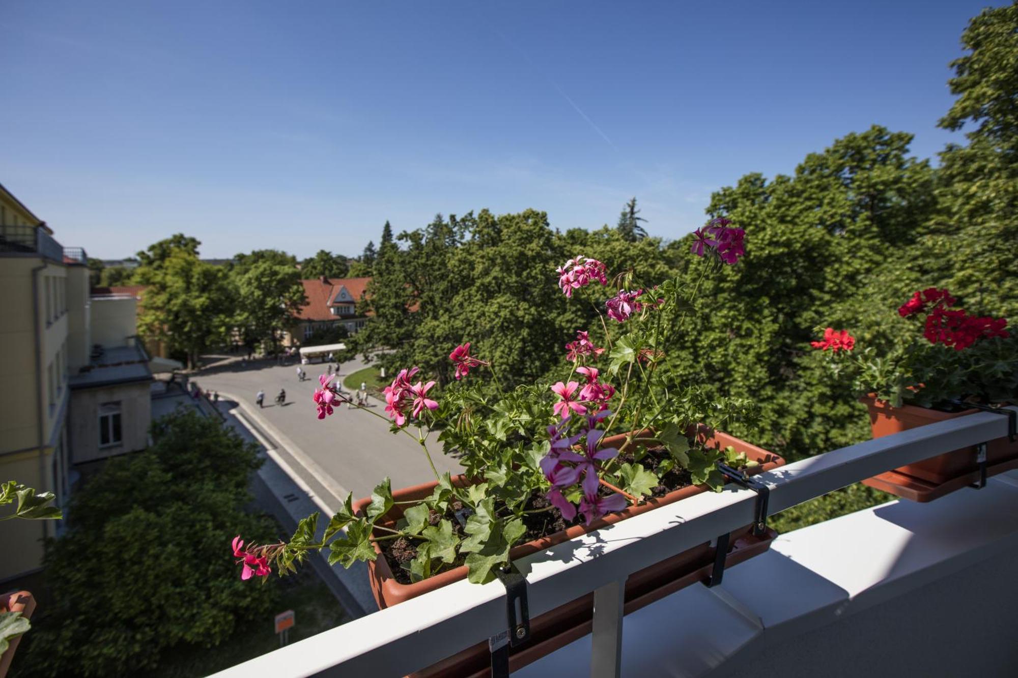 Hotel Bellevue Tlapak Poděbrady Quarto foto
